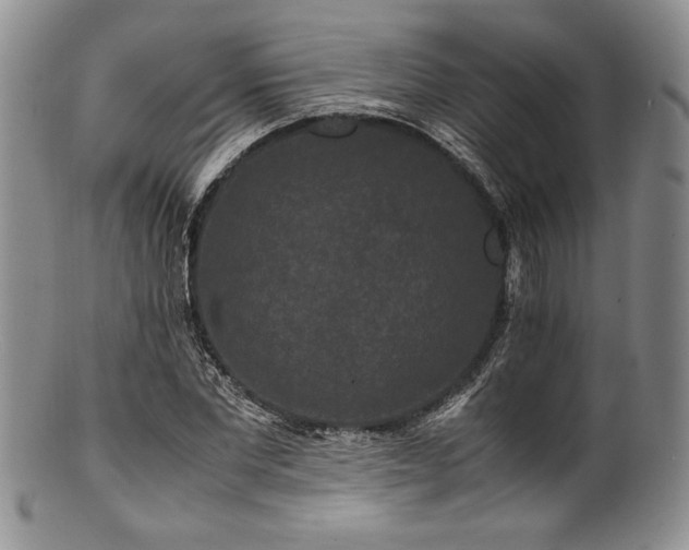 X0000100880877200806201244