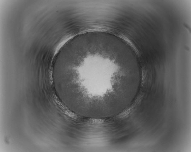 X0000100880878200806201244