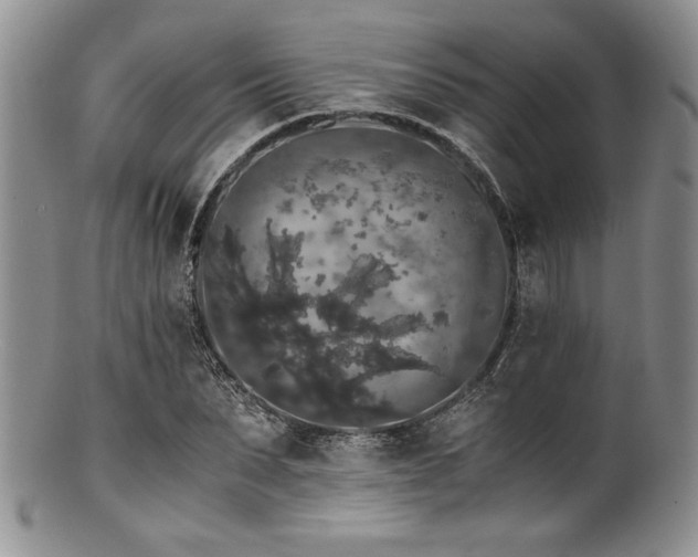 X0000100880879200806201244