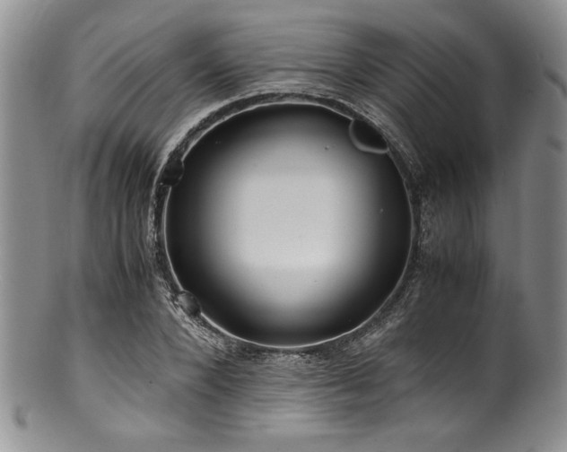 X0000100880880200806201244