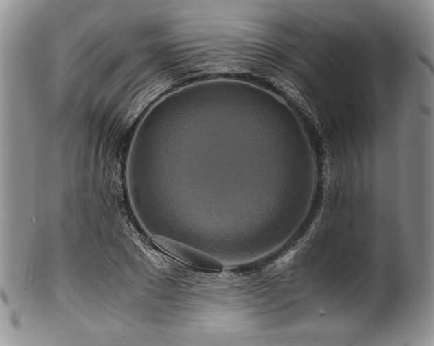 X0000100880881200806201244