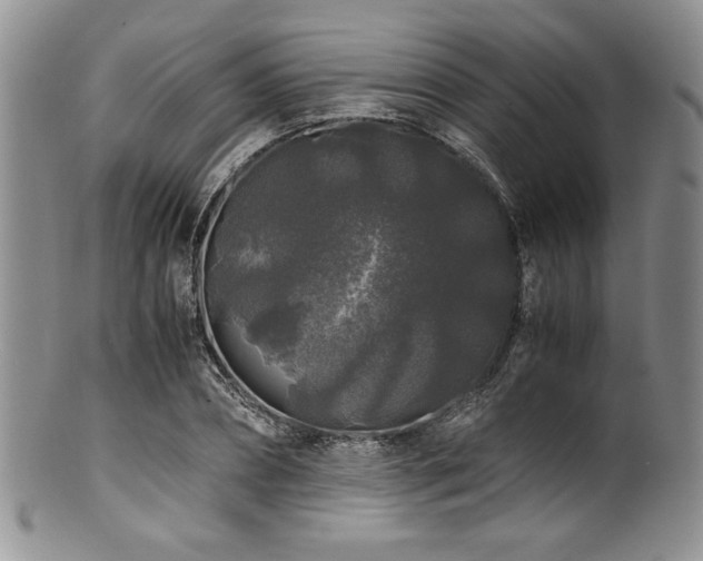 X0000100880882200806201244