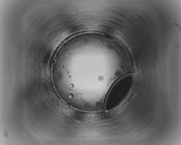 X0000100880883200806201244