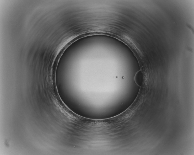 X0000100880884200806201243
