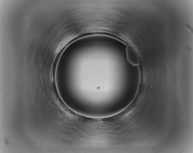 X0000100880885200806201243