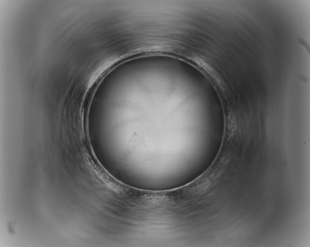 X0000100880886200806201243