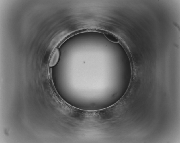 X0000100880887200806201243