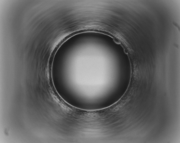 X0000100880888200806201243