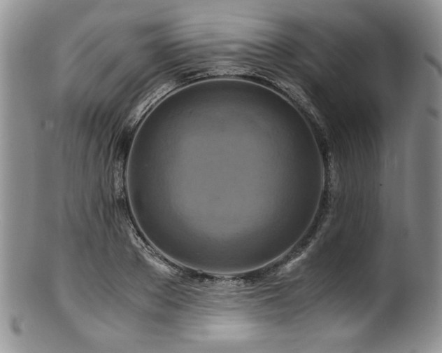 X0000100880889200806201243