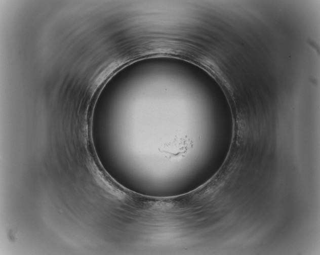 X0000100880890200806201243
