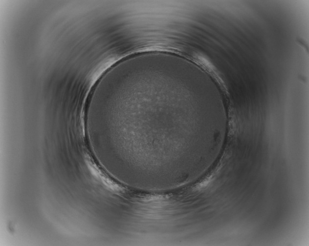 X0000100880892200806201243