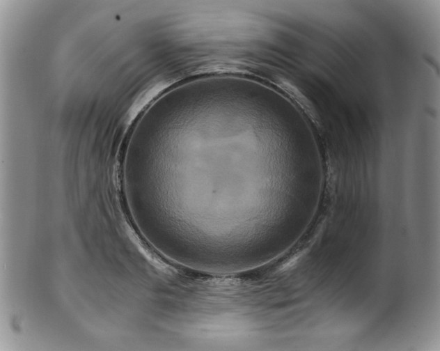 X0000100880893200806201243