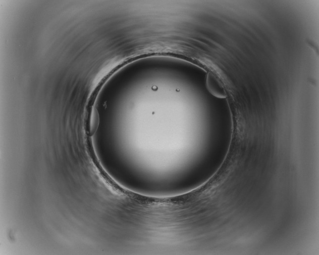 X0000100880894200806201243
