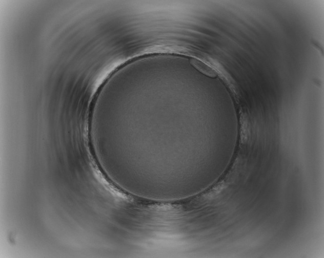 X0000100880896200806201243