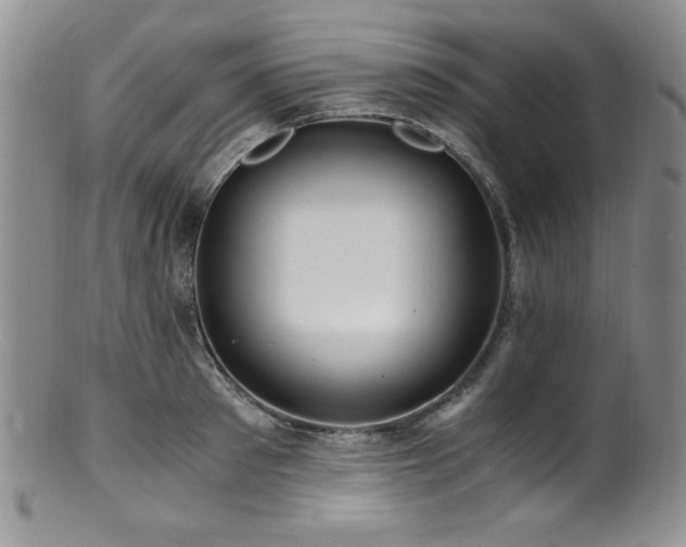 X0000100880897200806201243