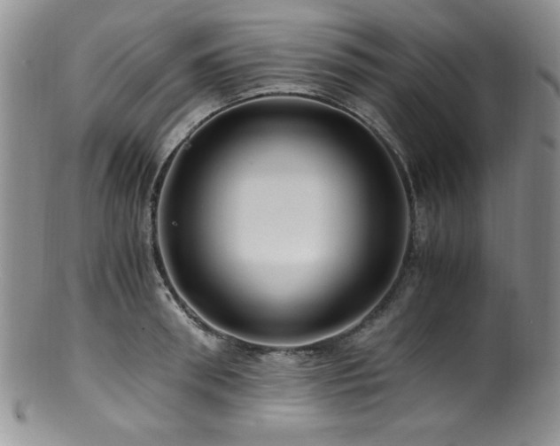 X0000100880898200806201243