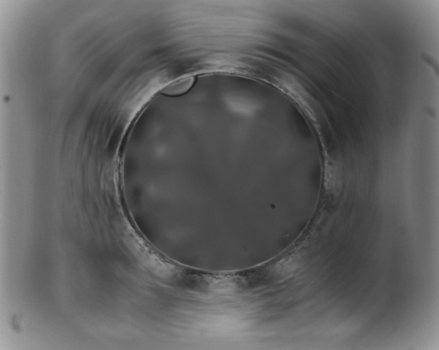 X0000100880899200806201243