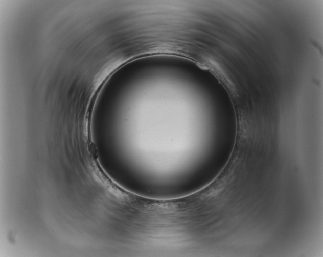 X0000100880900200806201243