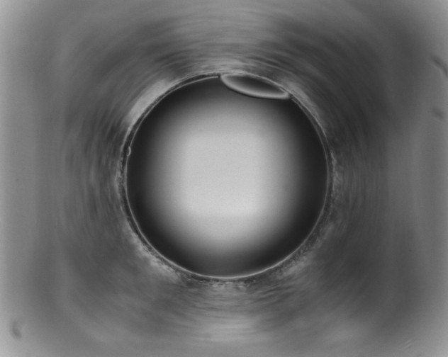 X0000100880901200806201243