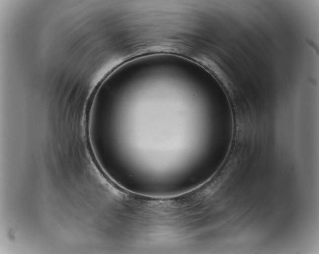 X0000100880902200806201243