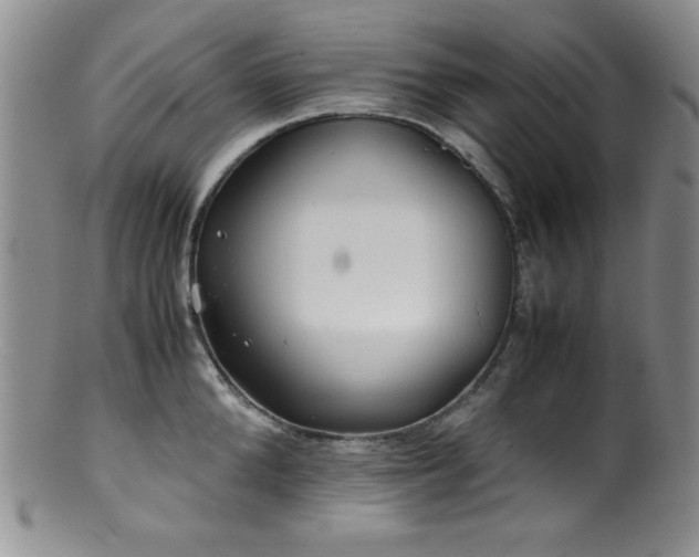 X0000100880904200806201243