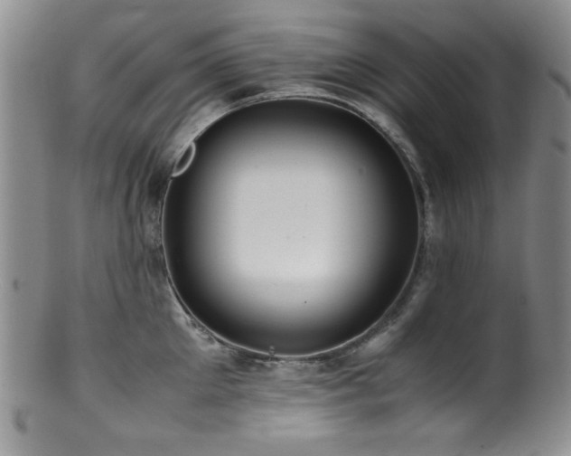 X0000100880905200806201243