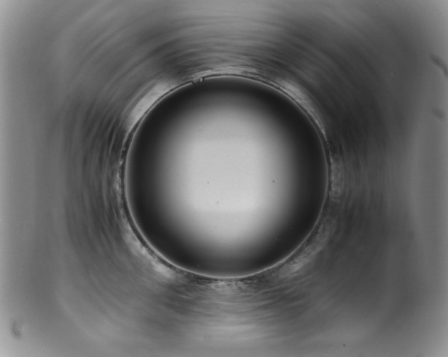 X0000100880906200806201243