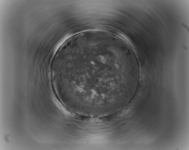 X0000100880907200806201243