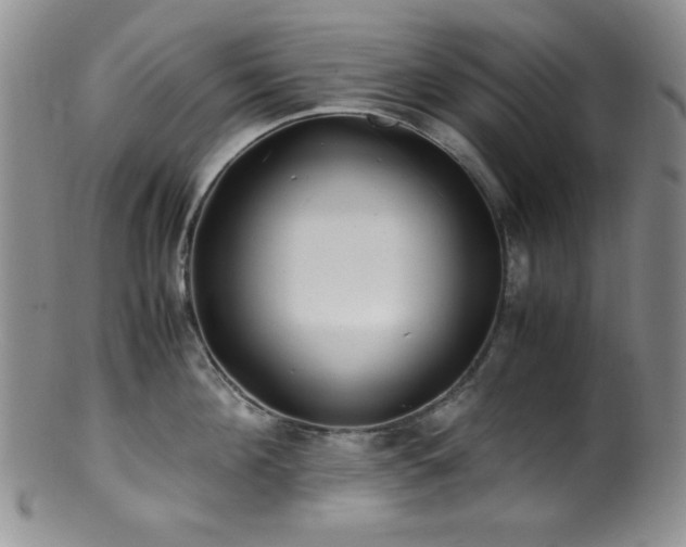 X0000100880908200806201243