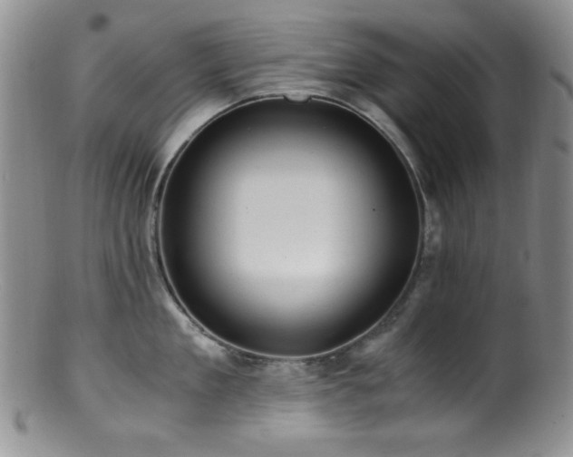 X0000100880909200806201243