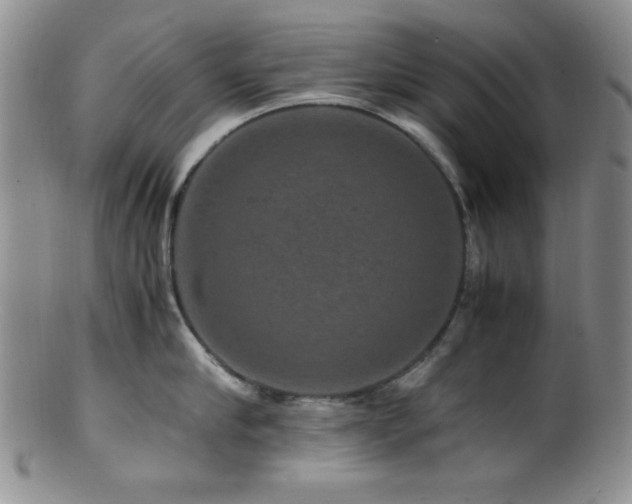 X0000100880910200806201243