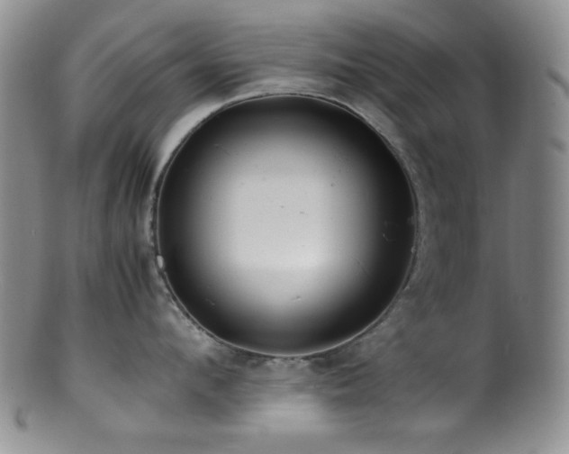 X0000100880912200806201243