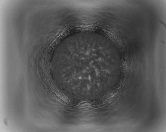 X0000100880913200806201242