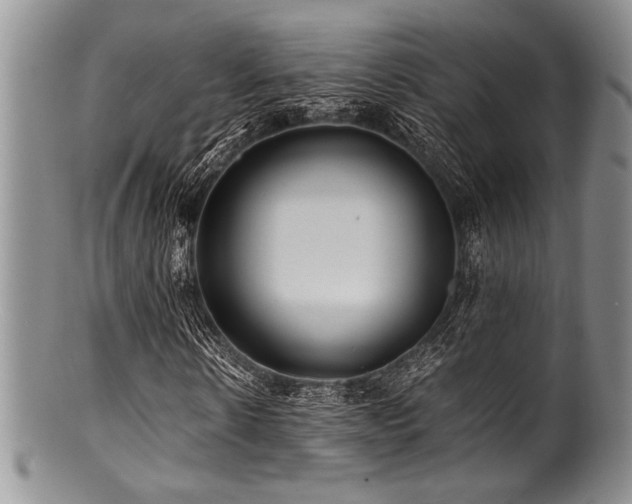 X0000100880914200806201242