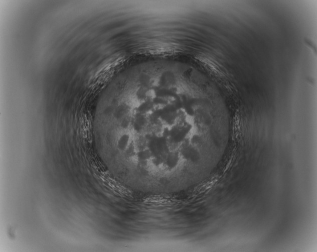 X0000100880917200806201242