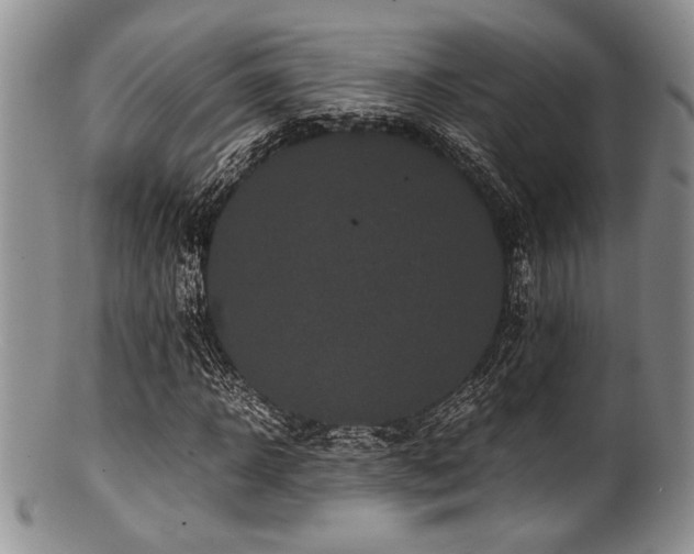 X0000100880918200806201242