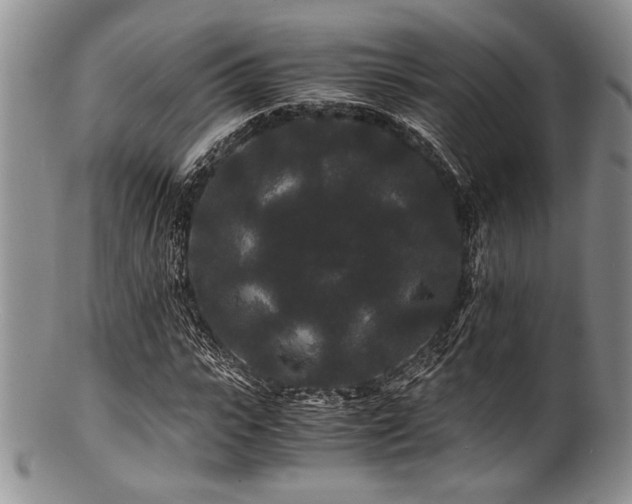 X0000100880919200806201242