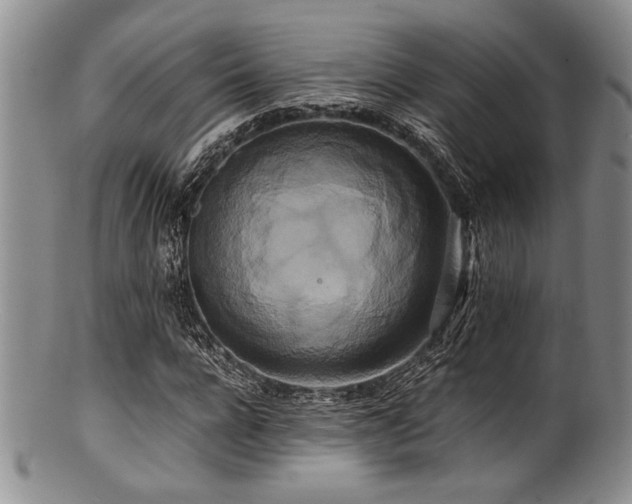 X0000100880920200806201242