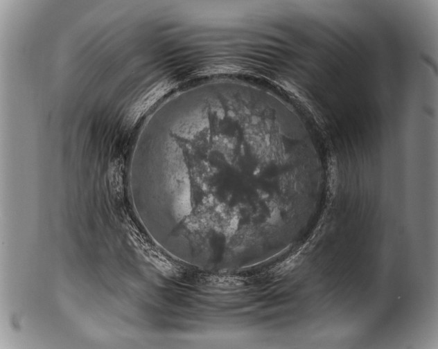 X0000100880921200806201242