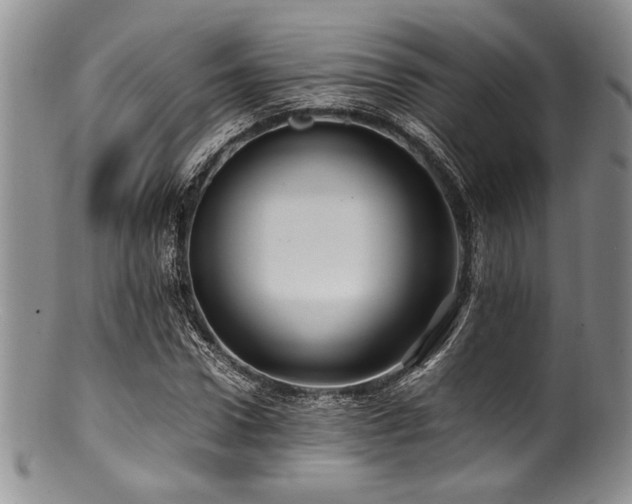 X0000100880922200806201243