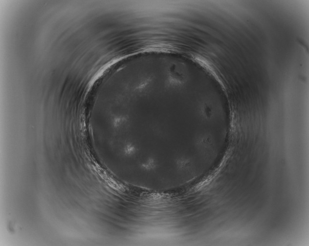 X0000100880923200806201243
