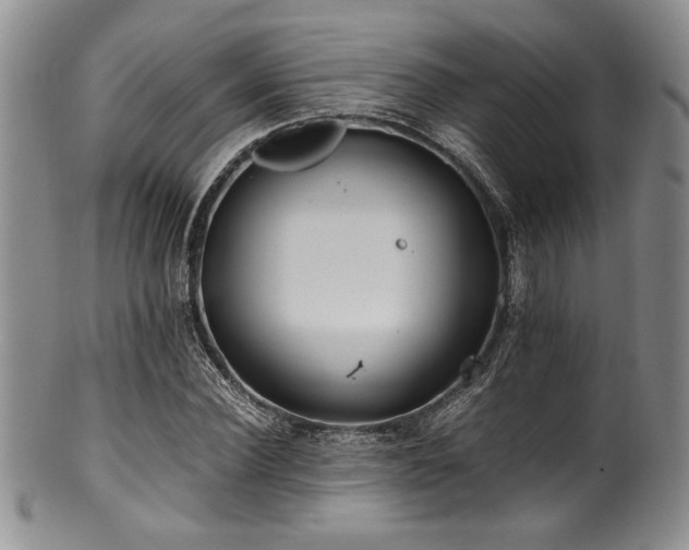 X0000100880924200806201243