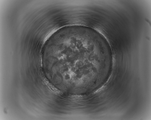 X0000100880925200806201243