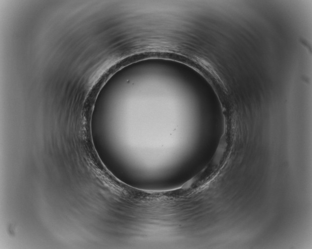 X0000100880926200806201243