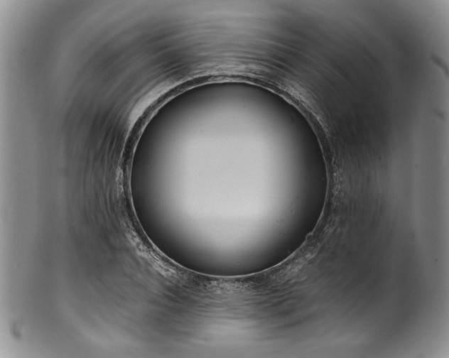 X0000100880928200806201243