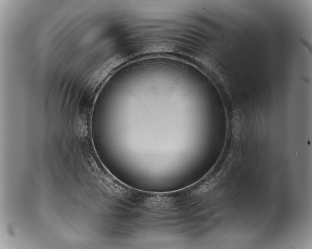 X0000100880929200806201243