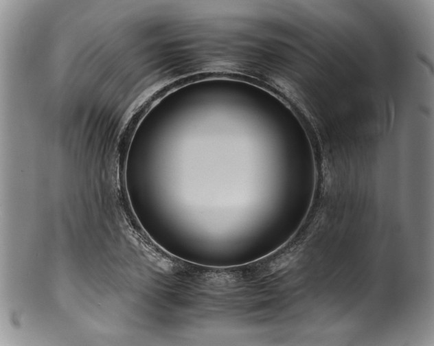 X0000100880931200806201243