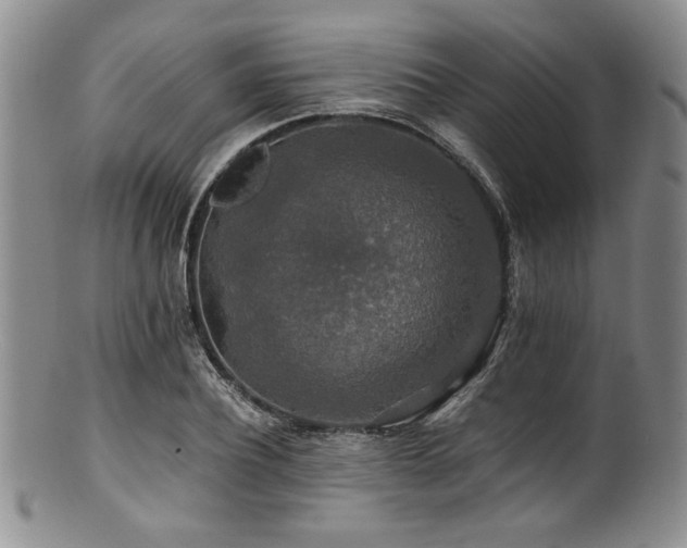 X0000100880932200806201243