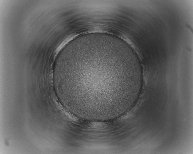 X0000100880933200806201243