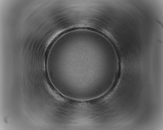 X0000100880934200806201243
